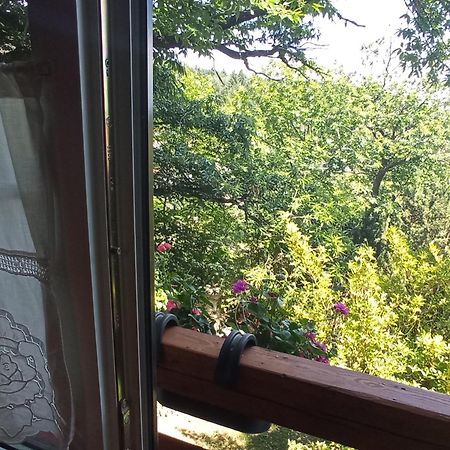Pele Vendeghaz Villa Velem Eksteriør billede